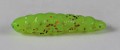 larva_del_miele_24.jpg