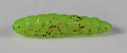 larva_del_miele_24.jpg