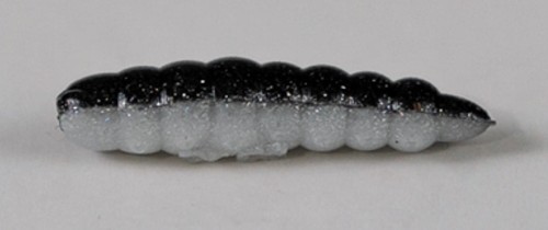 larva_del_miele_25.jpg