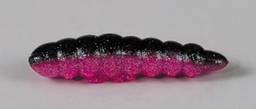 larva_del_miele_26.jpg