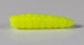 larva_del_miele_28.jpg