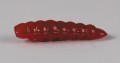 larva_del_miele_29.jpg
