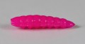 larva_del_miele_30.jpg