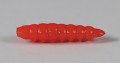 larva_del_miele_31.jpg
