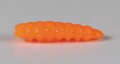 larva_del_miele_32.jpg
