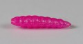 larva_del_miele_35.jpg