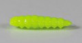 larva_del_miele_37.jpg