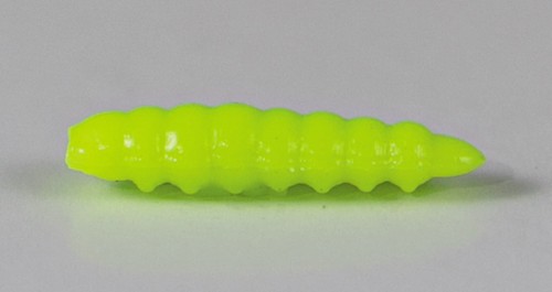 larva_del_miele_37.jpg