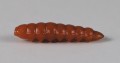 larva_del_miele_39.jpg