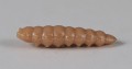 larva_del_miele_40.jpg