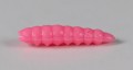 larva_del_miele_41.jpg