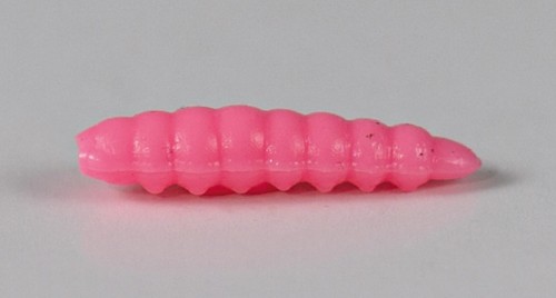 larva_del_miele_41.jpg