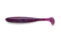 es4-lt11-1.jpg