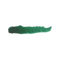 SC-41-BLACK FOREST GREEN-2.png