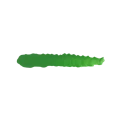 SC-43-IRATI GREEN-2.png