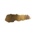 SC-72-VIKING GOLD-2.png