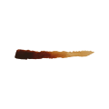 SC-81-INKTENSE CHESTNUT-2.png