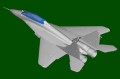 81787-6.jpg