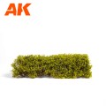 AK8171_C.jpg