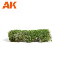 AK8174_C.jpg