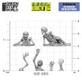 12870-2.jpg