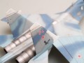 01645-7.jpg