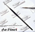 dv_seria10_3.jpg