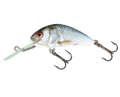 WOBLER SALMO HORNET 6cm/10g - REAL DACE [PŁYWAJĄCY] [QHT061]