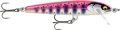 FE85 GDPY.webp