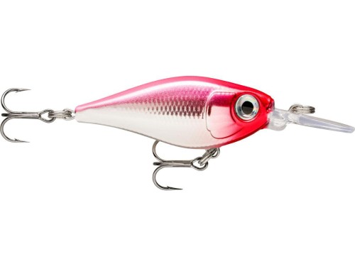 FNS04 PCL.jpg