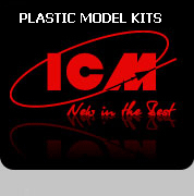 ICM